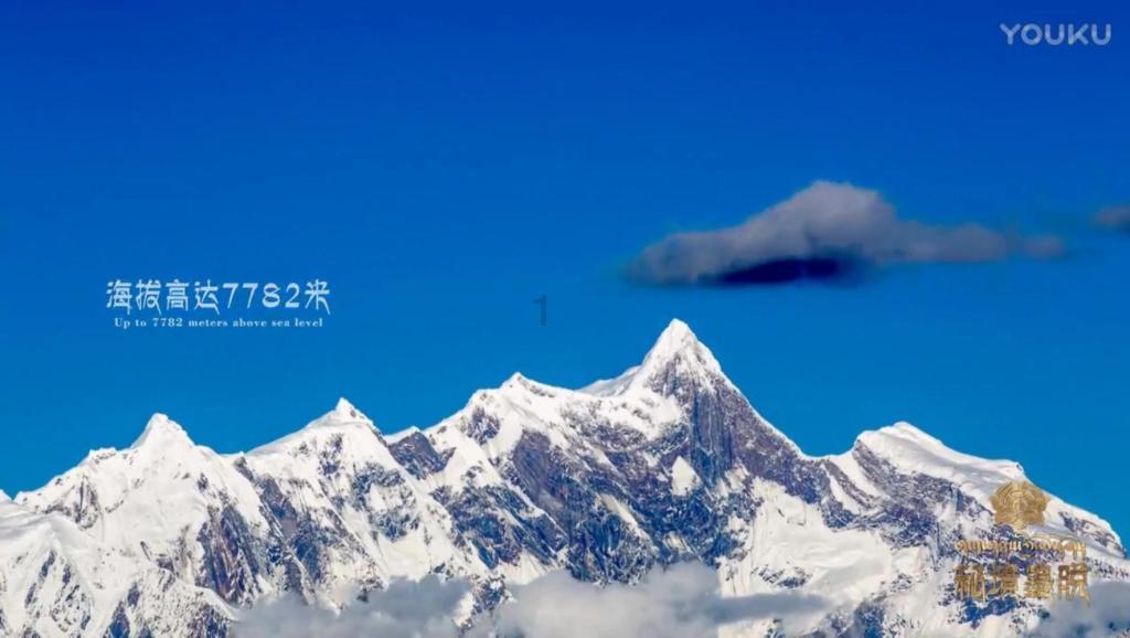 咖啡厅找不同